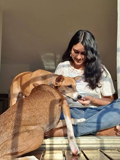 A sunny morning training session with two lovely Indies. Every dog is always learning, and it is our job to make it a positive experience.
