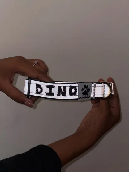 Holding up the personalized 'Dino' collar to show the final product. The hand embroidery adds a special touch to our best-selling reflective collars.
