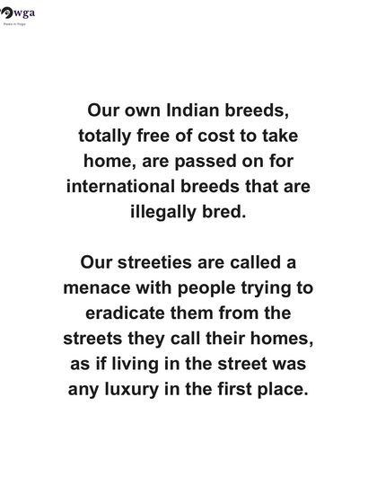 Our own Indian breeds are often passed over for illegally bred international breeds. Our streeties are seen as a menace when they are just trying to survive.
