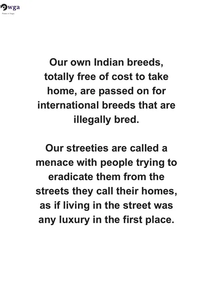 We point out the sad reality that our own Indian breeds, available for free adoption, are often overlooked in favor of illegally bred international breeds.