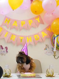 Custom Dog Cakes & Cupcakes