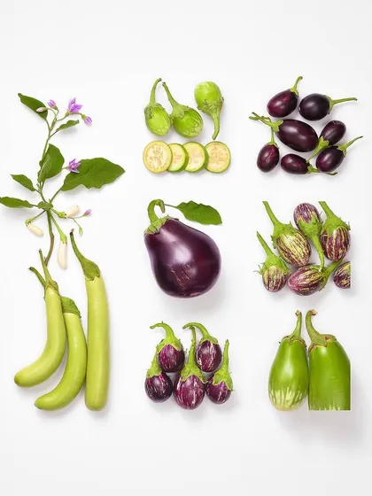 This image is a study in the shapes, sizes, and colors of eggplant. This type of organized flat lay photography is effective for ingredient showcases or educational content.