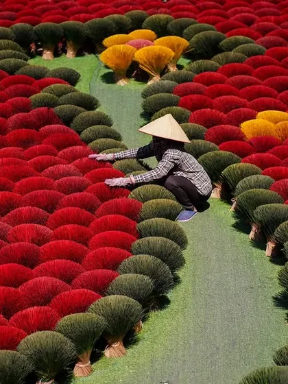 A creative arrangement of incense sticks in Vietnam, forming a map of the country with a river of green. This shows the artistic pride the villagers take in their work.