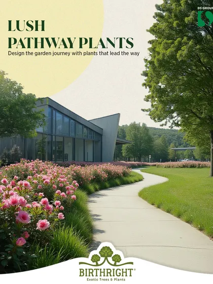 A pathway is a journey. For this commercial property, we lined the walkway with lush flowering shrubs, creating an inviting and professional entrance. Thoughtful pathway landscaping enhances curb appeal and adds significant value to a property.