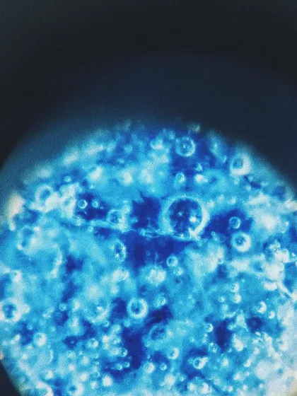 This is what glaze looks like under a microscope. Every bubble, crackle, and crystal is a tiny universe created by heat and chemistry in the kiln. It’s a reminder of how much magic is happening on a microscopic level.