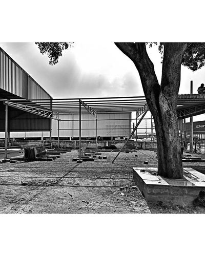 Landscape Design