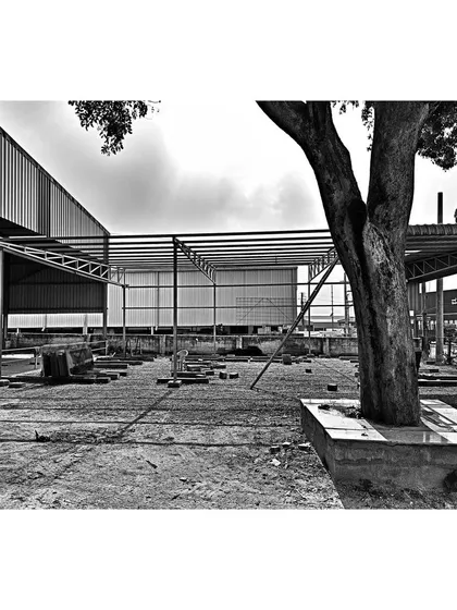 A site image from the early construction stages, showing how we plan around existing site features. The preservation of the mature tree was a guiding principle, influencing the layout of the building extension.