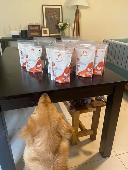 This golden retriever's curiosity is piqued. Our delicious, air-dried treats are healthy, nutritious, and sure to have your pup feeling their best.