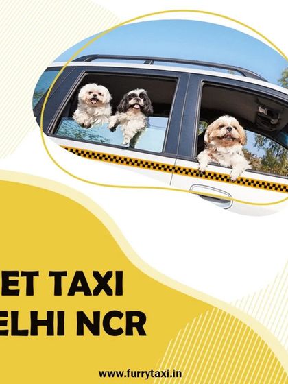 For all your local travel needs in Delhi NCR, my pet taxi is just a call away. I ensure every journey is safe and comfortable for your furry friend.