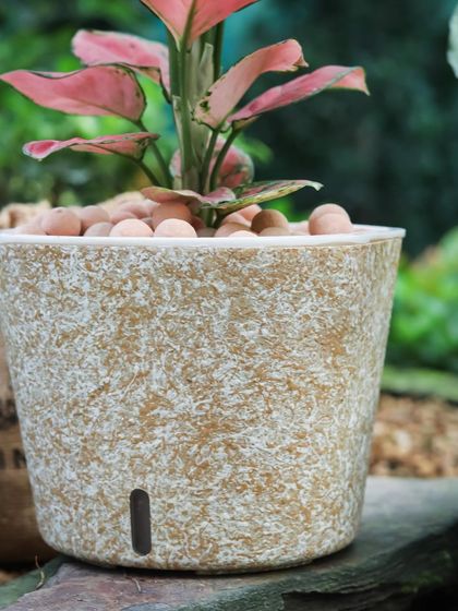 The texture on this self-watering planter mimics natural stone, adding an earthy feel. The small black water indicator is a subtle but useful feature to let you know when it's time for a refill.