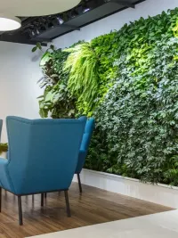 Commercial & Event Plant Rentals