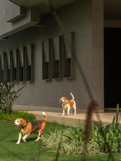 Sculptural Architecture: A Study in Concrete photo 36