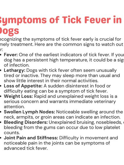Woofly - Home Veterinary Services Parasite Prevention: Ticks, Fleas & More photo 8