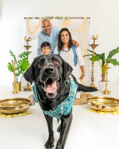 Family Pet Sessions