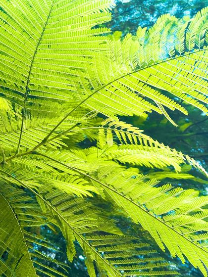 Garima Bhaskar - Photo & Video Editing Presets Aqua: Moody Blues & Greens for Travel photo 27