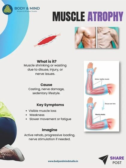 Body & Mind PhysioPilates Studio - Geriatric Fitness & Rehabilitation Our Physio-Pilates Philosophy photo 12