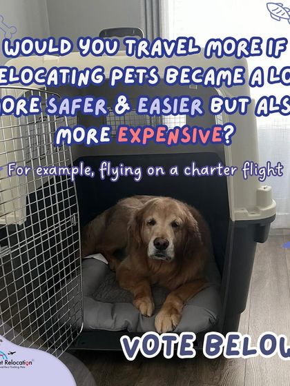 Anvis - Pet Relocation Fun & Community photo 4