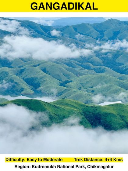 Looking for a beginner-friendly trek with stunning views? Gangadikal is an 8 km round trip in the Kudremukh National Park that offers breathtaking views of the Lakya Dam backwaters from its peak.