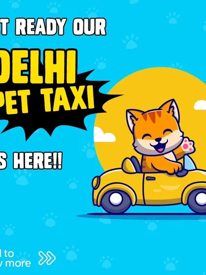 Announcing our dedicated pet taxi service for Delhi and NCR. This convenient transport is available for both your cats and dogs, ensuring they can get to their destination safely, whether it's for a vet visit or a fun day out.