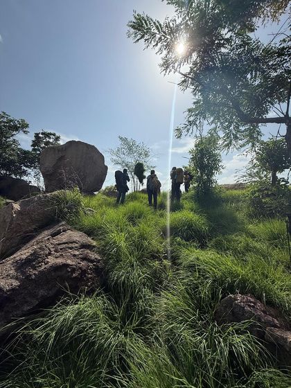 A group of climbers hiking up to the crag through lush green grass, with the sun shining brightly. The approach is part of the adventure.