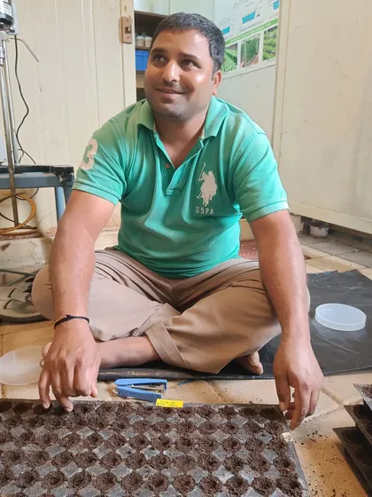 Every great harvest starts with a single seed. Here, my colleague Kiran is carefully preparing a nursery tray. It's a quiet, focused part of the process that I really enjoy.