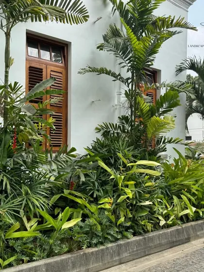 A tropical-themed planting featuring various types of palms and broad-leafed plants, creating a dense, jungle-like effect.