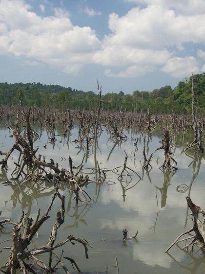 Landscapes & Lifeblood: The Power of Water photo 11