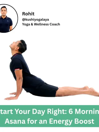 Rohit N - Yoga for Fitness and Wellness Build Functional Strength & Manage Weight photo 18