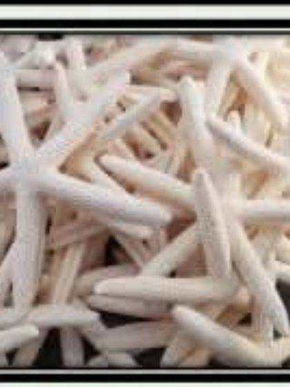 These delicate white starfish are a beautiful addition to any ocean-themed project. They can be used in resin art or to decorate candle containers.