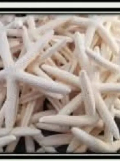 These delicate white starfish are a beautiful addition to any ocean-themed project. They can be used in resin art or to decorate candle containers.
