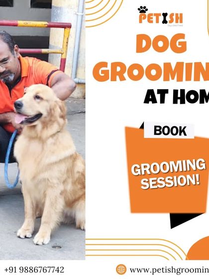 Petish Grooming - Mobile Grooming for Dogs & Cats A Day in the Life at Petish photo 11