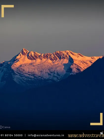 The first light of dawn illuminates a snow-capped peak in the Chopta region. We believe in starting early to catch the golden hour, perfect for both photography and spotting active wildlife.