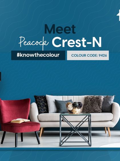 Paint My Walls - Painting Services Free Color Consultation & Inspiration photo 92