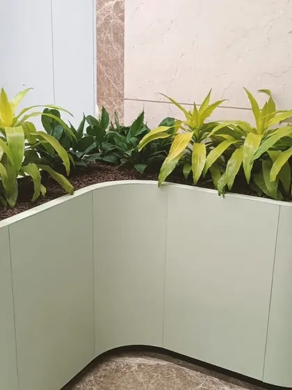 I love creating custom solutions that fit a space perfectly. This unique, wave-shaped planter was designed to follow the curve of a wall in a modern building, turning a simple hallway into a memorable feature with lush, low-maintenance plants.