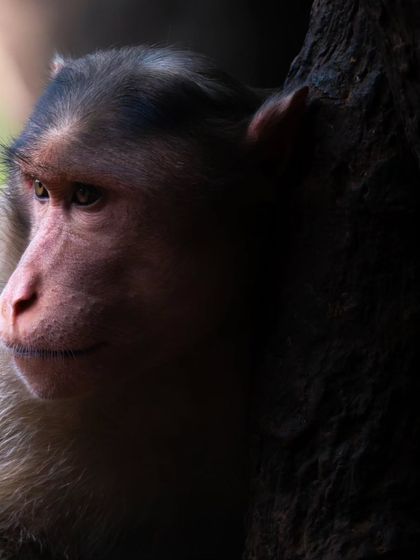 Behind the Lens: My Journey photo 29