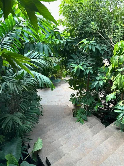 A view down a flight of stairs that has been opened to the elements and is now flanked by a dense, wild garden. This radical intervention transformed what was once an indoor space into a lush, green passage.