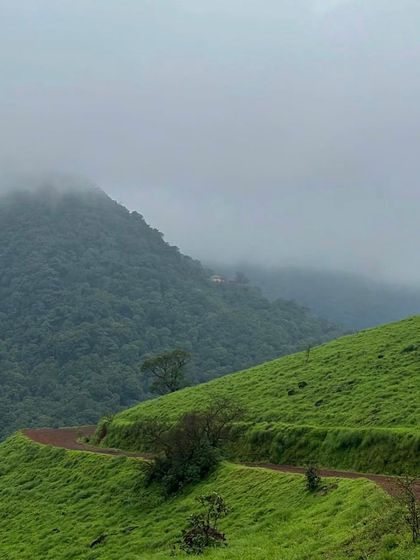 A winding jeep trail on the green slopes of Kodachadri. The off road jeep ride is a thrilling part of this unique trek.