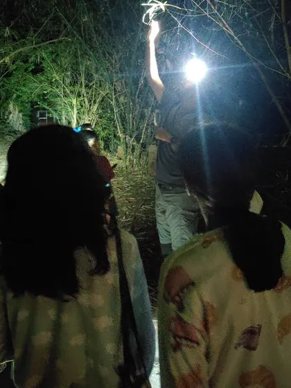 The world transforms after sunset. On a guided night walk, children use headlamps to discover the nocturnal life around them, turning a familiar place into a thrilling new environment for exploration and learning.
