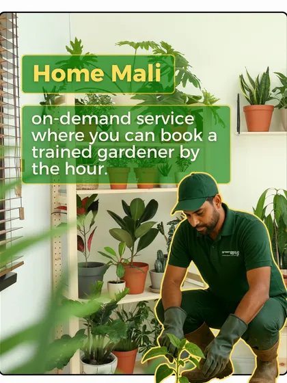 This is what our Home Mali service is all about: an on-demand service where you can book a trained gardener by the hour to tend to your indoor plant collection.