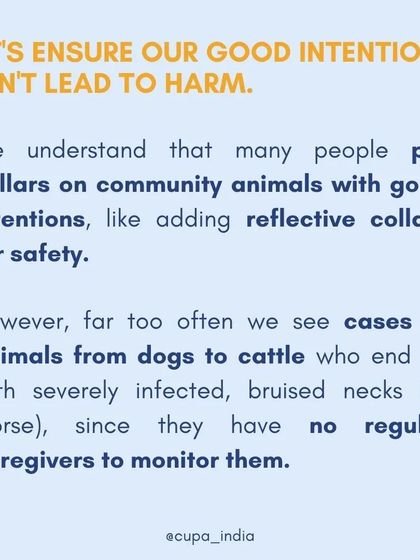 Cupa - Animal Cruelty Legal Aid & Advocacy Know Your Rights: A Guide for Feeders & Pet Owners photo 13