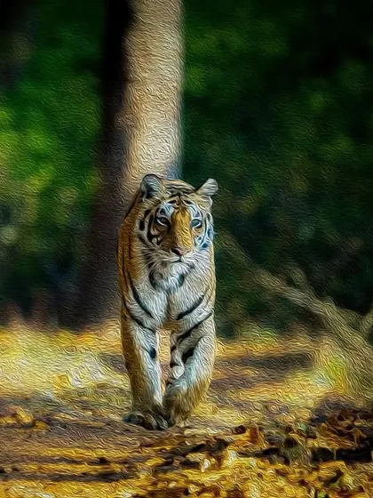A creative take on a classic tiger walk, with a digital oil painting effect applied. This artistic interpretation aims to transform a photograph into a piece of canvas art, celebrating the start of a new year dedicated to wildlife.