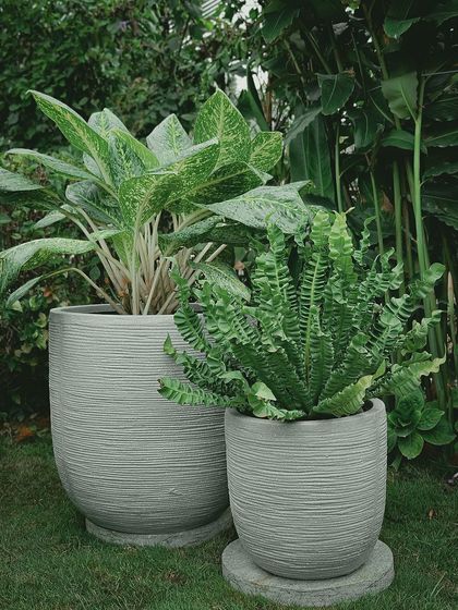 Make My Garden - Nursery & Gardening Store (Retail) Pots, Planters & Garden Decor photo 13