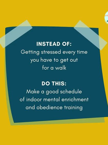 Furry Story - Pet Sitter & Home Boarder Training My Approach to Training photo 13