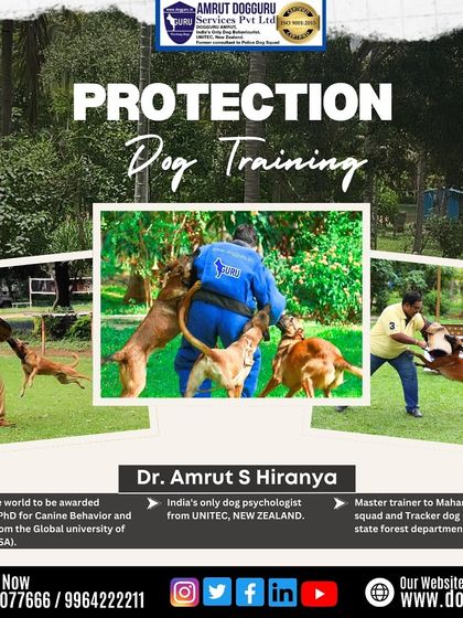 Dog Guru - Professional Dog Trainer Certification Advanced Training in Action photo 10