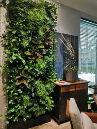 Vertical Gardens