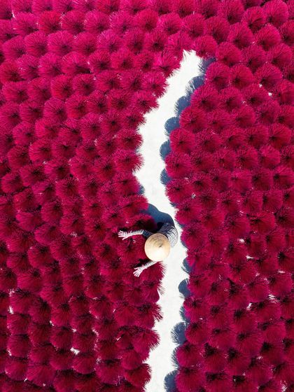 Travels Beyond India: Vietnam photo 15