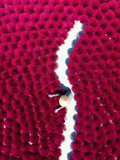 A top-down view of the Quang Phu Cau incense village, showing the incredible patterns created by the bundles of drying incense.