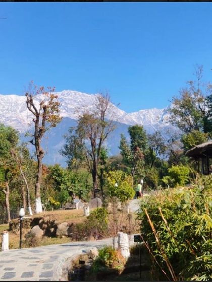 The stunning, snow-capped mountains of the Himalayas provide a breathtaking backdrop for our healing and transformation retreat in Dharmashala. Being in the presence of such grandeur helps put our lives into perspective.