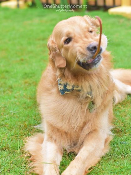 Priyanka - Family & Pet Photography Outdoor Family Adventures photo 34
