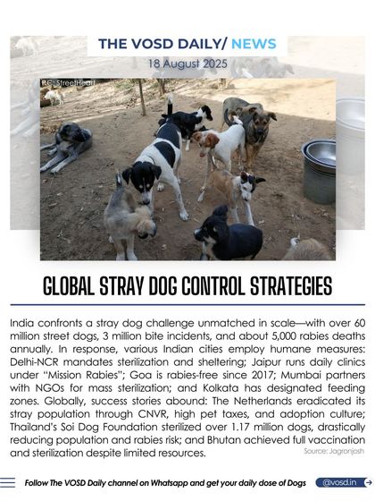 With over 60 million street dogs, India faces a massive challenge. I examine successful global strategies, from the Netherlands' eradication of strays to Thailand's mass sterilization, to show that humane, science-led approaches work.